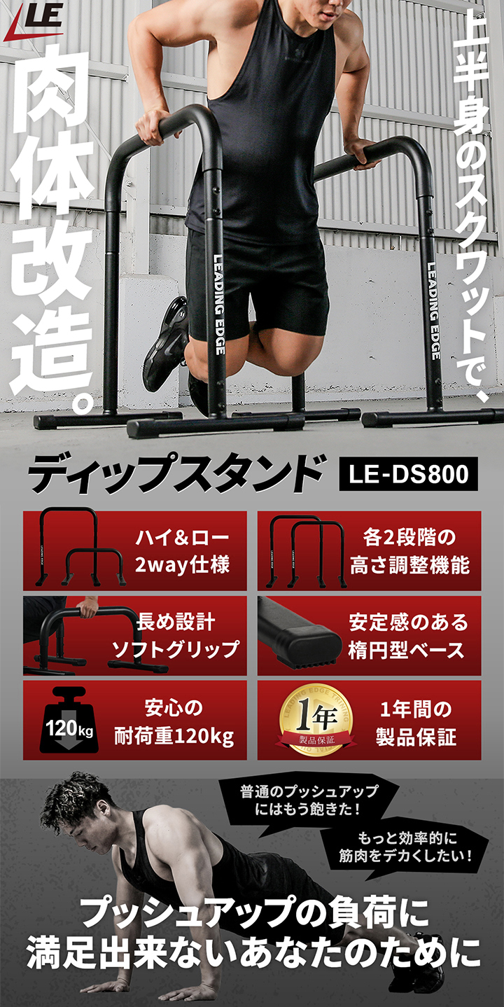 リーディングエッジ ディップスタンド LE-DS800 ディップス　スタンド