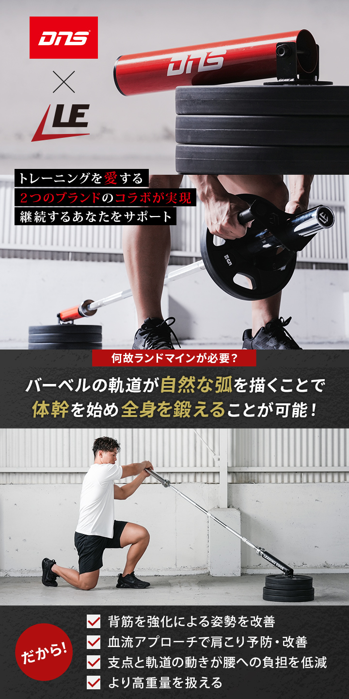 DNSカラー登場