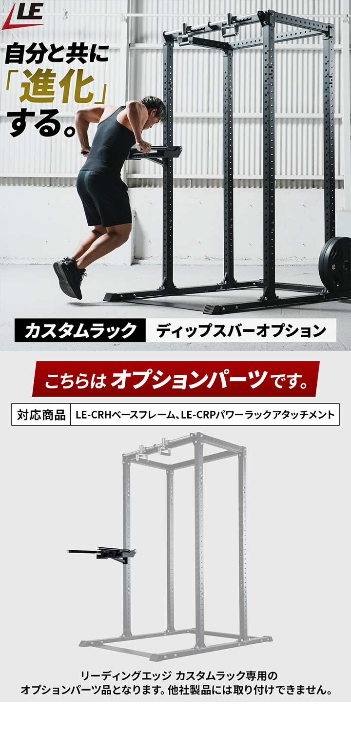 リーディングエッジ カスタムラック オプション ディップスバー